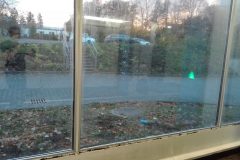 IMG-20181105-WA0005