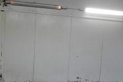 IMG-20181105-WA0006